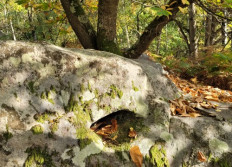 Circuits Géocaching