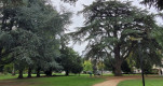 Parc du Cèdre